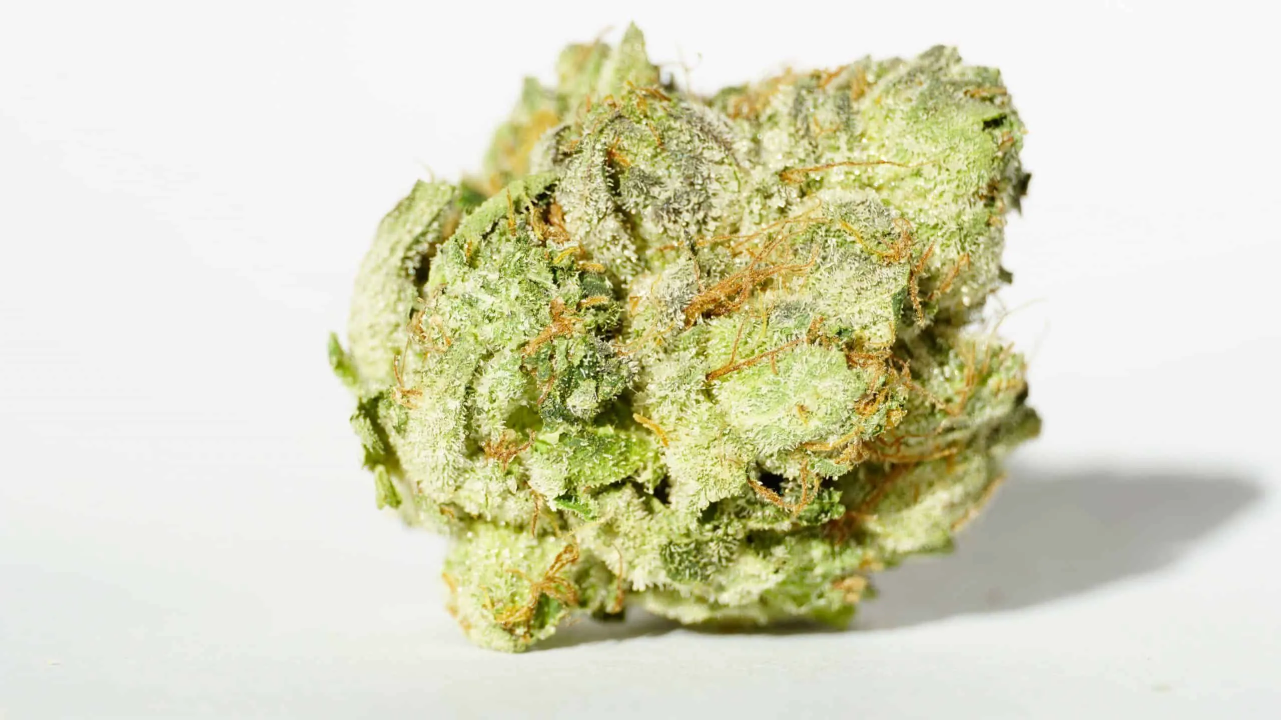 Buy White Death Strain (AAAA+) Online